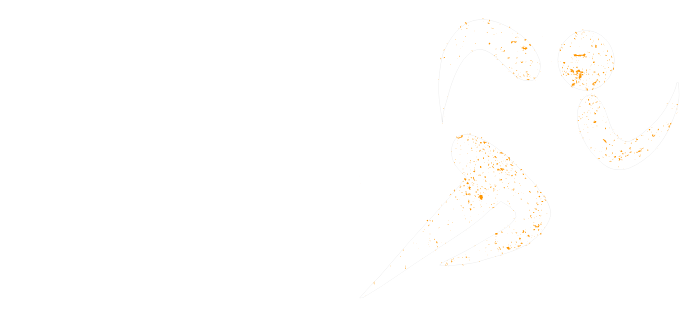 Run Tall Logo