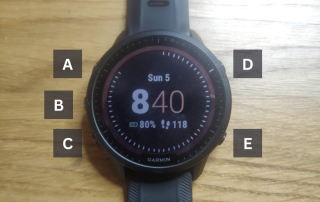 Garmin Alarm 1